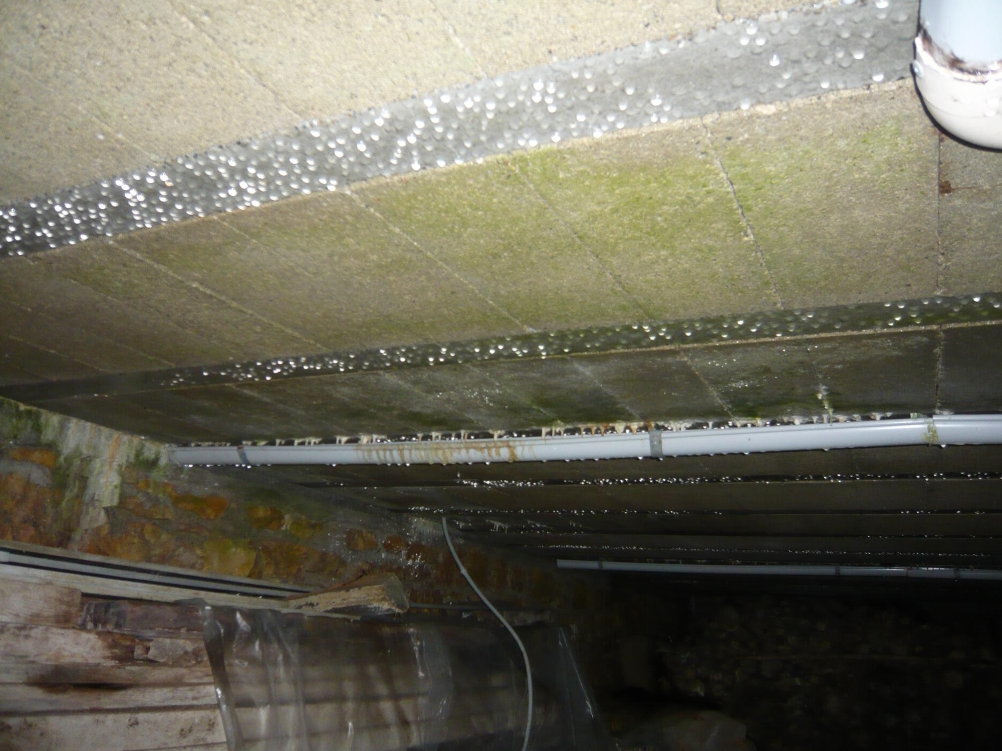 découvrez les causes, symptômes et solutions pour l'infiltration sur un toit terrasse. protégez votre habitation des dégâts d'eau avec nos conseils pratiques et nos services d'étanchéité.