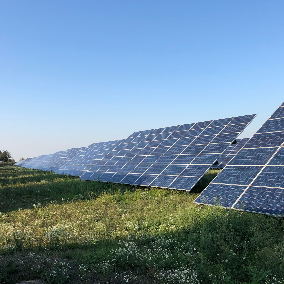 découvrez les avantages d'un investissement dans une toiture photovoltaïque. optimisez votre consommation d'énergie, réduisez vos factures et contribuez à la protection de l'environnement grâce à des panneaux solaires adaptés à votre habitat.