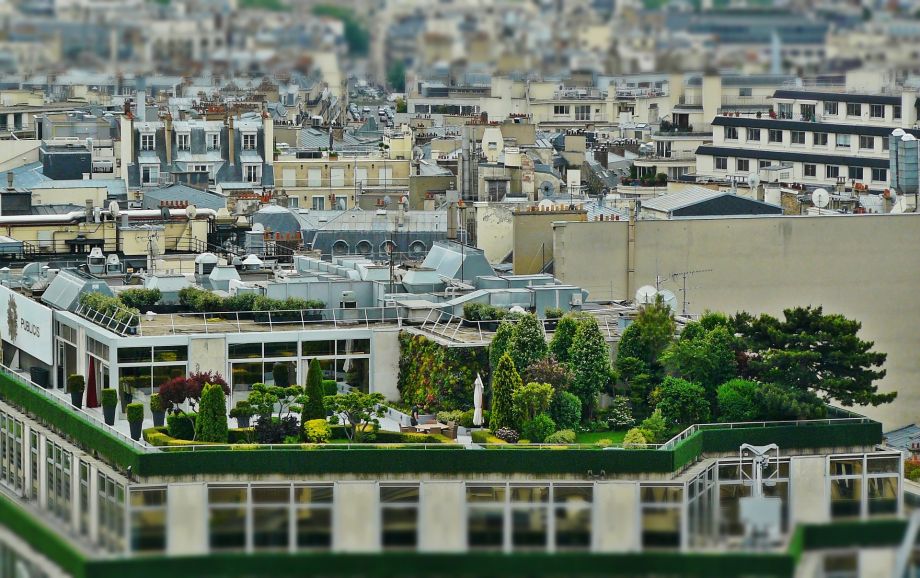 découvrez l'élégance d'un jardin sur toit, un espace zen où la nature rencontre l'urbanité. transformez votre toit en un havre de paix avec des plantes luxuriantes, des fleurs colorées et des coins de détente. idéal pour profiter de moments de calme en ville.