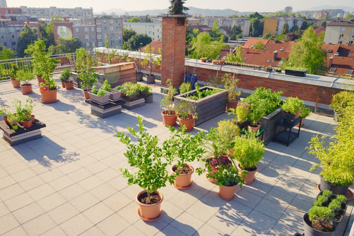 découvrez les bienfaits d'un jardin sur toit : un espace de verdure en milieu urbain, favorisant la biodiversité, améliorant la qualité de l'air et offrant un lieu de détente unique. transformez votre toit en oasis de nature et profitez d'un cadre de vie agréable.