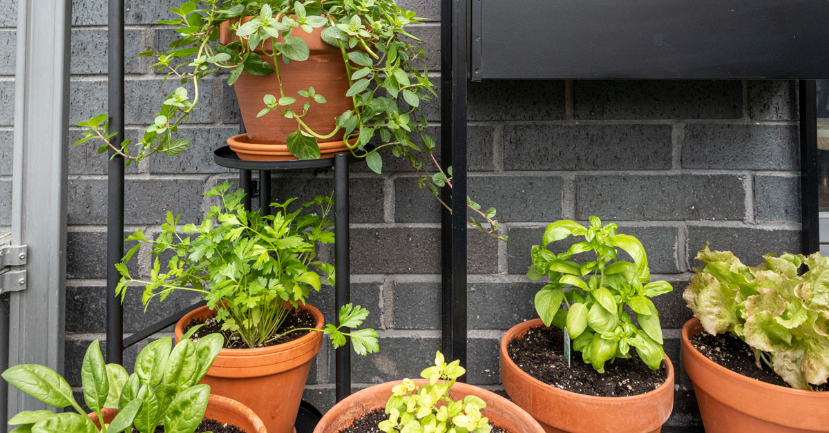 découvrez les astuces et conseils pour créer un jardin urbain écoresponsable, où space et nature s'harmonisent. transformez votre balcon ou votre petit espace extérieur en un havre de verdure, propice à la détente et au bien-être.