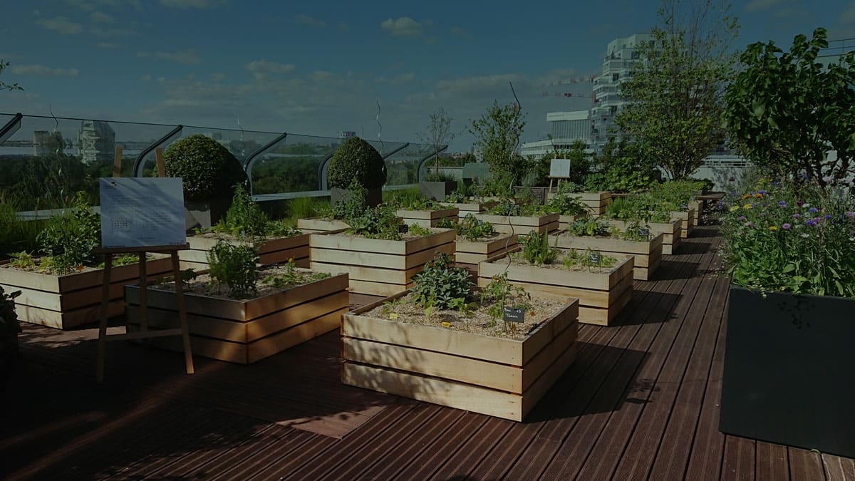 découvrez comment créer un jardin urbain florissant dans votre ville. transformez votre balcon, terrasse ou petit espace en un havre de paix verdoyant et écologique, et apprenez des astuces pour cultiver vos propres légumes et fleurs en pleine ville.