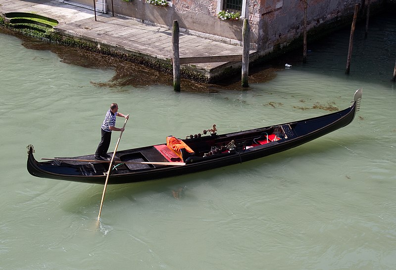 découvrez notre sélection de gondoles pour toits, idéales pour optimiser l'espace et le rangement de votre maison. explorez des solutions pratiques et esthétiques pour embellir votre extérieur tout en maximisant la fonctionnalité de votre toiture.