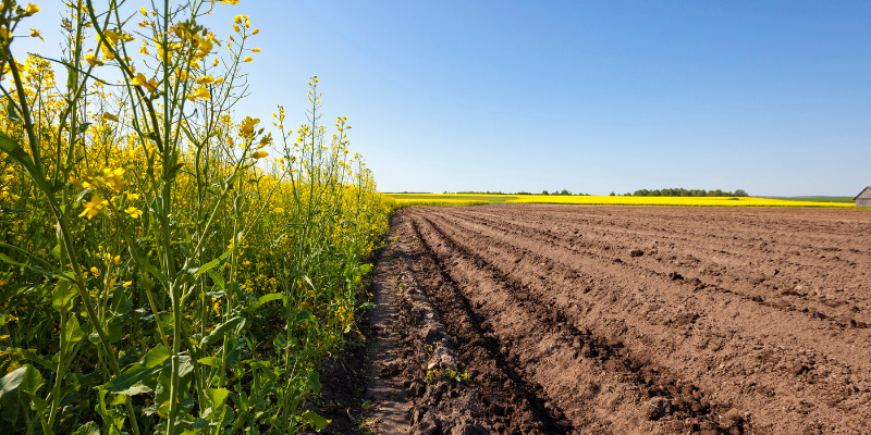 découvrez notre service de location de terres photovoltaïques pour maximiser votre investissement énergétique. transformez vos terrains en source de revenus tout en contribuant à la transition énergétique.
