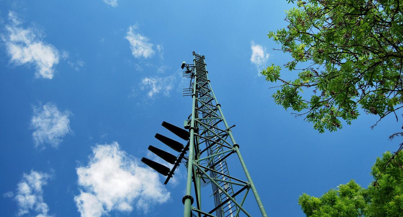 découvrez nos options de location de terrains pour antennes, idéales pour les entreprises souhaitant améliorer leur couverture réseau. profitez d'emplacements stratégiques, d'accès facile et de conditions flexibles.