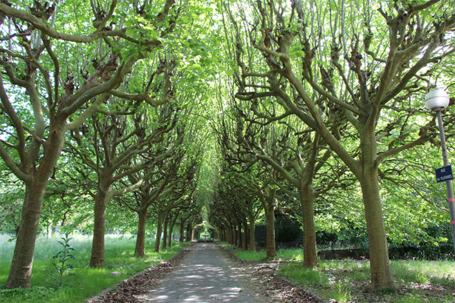 découvrez la maison blanche écologique, un espace de vie alliant confort moderne et respect de l'environnement. explorez des solutions durables, des matériaux écologiques et des pratiques innovantes pour un habitat respectueux de la nature.