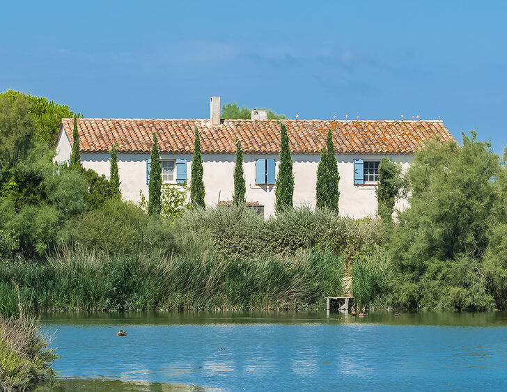 découvrez la maison camargue paille, un lieu d'exception alliant charme typique et confort moderne. idéale pour les amoureux de la nature, profitez d'un séjour unique au cœur des paysages pittoresques de la camargue.