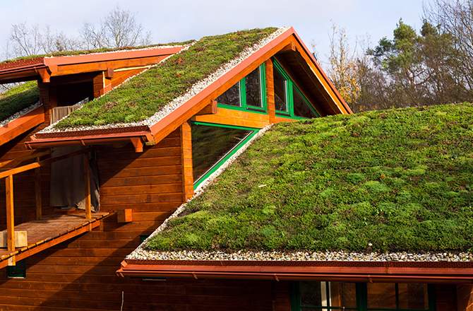 découvrez notre guide sur les maisons à toit vert, une solution écologique et esthétique pour améliorer votre habitat tout en préservant l'environnement. apprenez les avantages, les matériaux recommandés, et les étapes pour concrétiser votre projet.