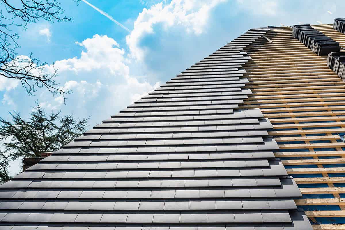 découvrez notre maison zinc arrondie, une fusion parfaite entre modernité et chaleur. ce design innovant allie esthétique contemporaine et confort, offrant un espace de vie unique et accueillant. idéale pour ceux qui recherchent une habitation hors du commun.