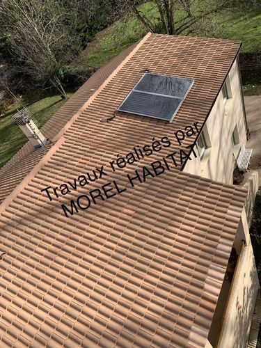 découvrez les bienfaits des champignons morels pour votre toit. apprenez comment ces délices de la nature peuvent enrichir vos plats tout en explorant leur culture et leurs propriétés uniques.