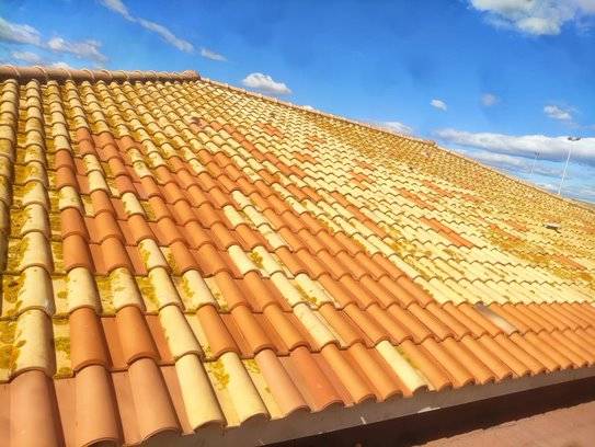 découvrez notre guide complet sur la mousse de toit : causes, impacts, méthodes d'élimination et conseils d'entretien pour préserver la beauté de votre toiture.