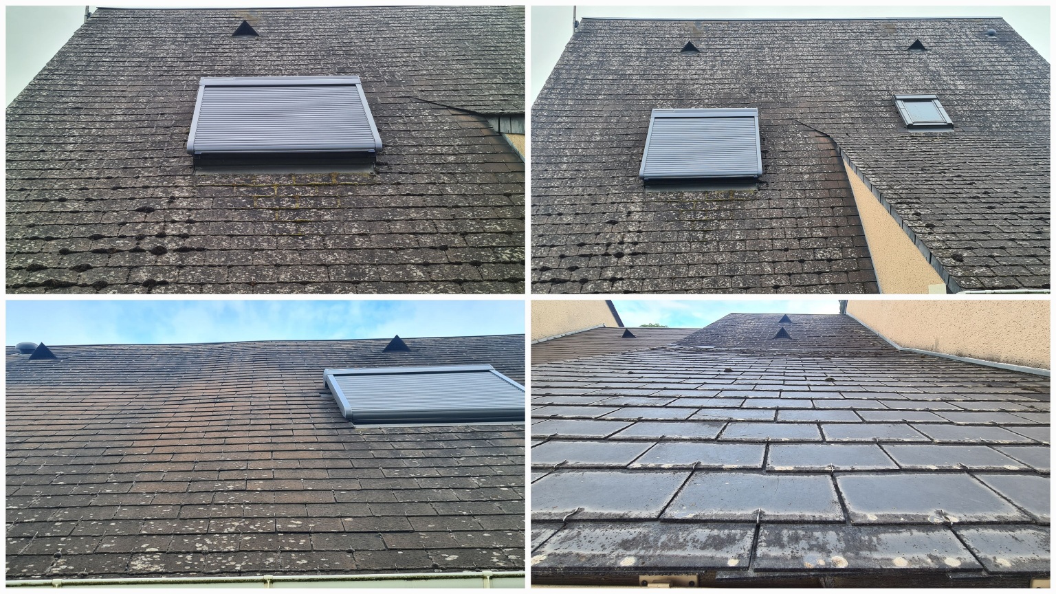 découvrez les étapes essentielles pour nettoyer efficacement votre toit en fibro. protégez votre maison des dommages et prolongez la durée de vie de votre toiture grâce à nos astuces et conseils pratiques.