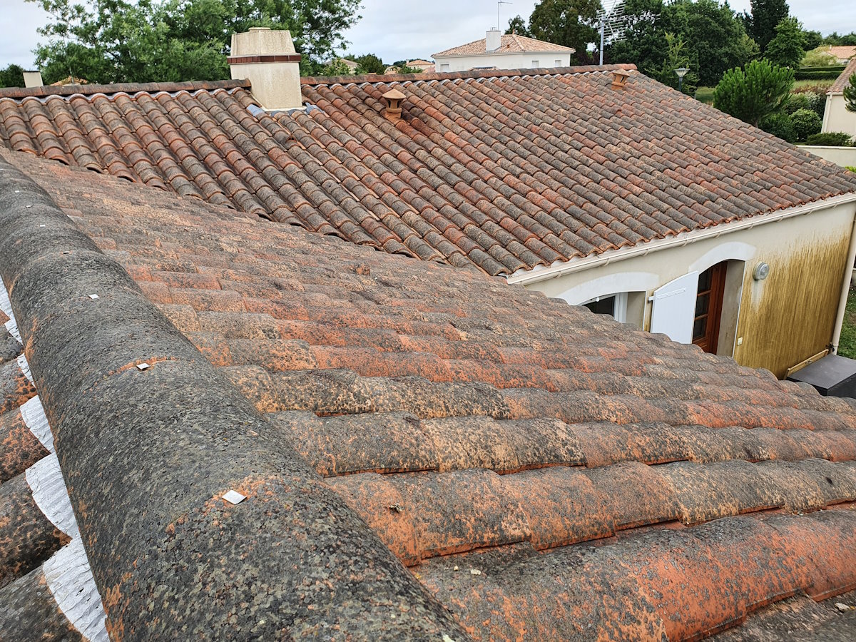 découvrez des méthodes efficaces pour nettoyer votre toit sans avoir besoin d'un accès direct. apprenez les techniques et outils adaptés pour maintenir votre toiture en parfait état en toute sécurité.