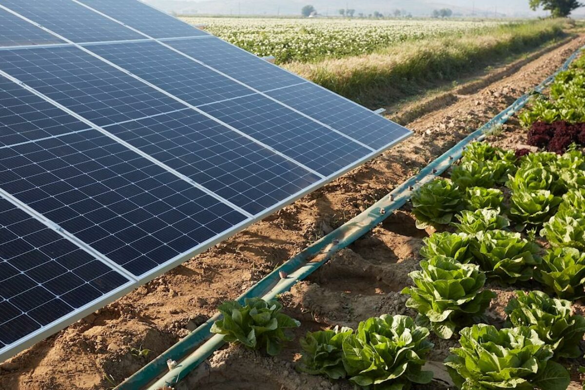 découvrez comment optimiser votre énergie photovoltaïque pour maximiser votre production d'électricité, réduire vos factures d'énergie et contribuer à un avenir durable. des conseils pratiques et des solutions innovantes pour tirer le meilleur parti de votre installation solaire.