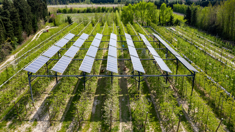 découvrez comment optimiser l'utilisation des panneaux solaires dans l'agriculture pour maximiser votre rendement énergétique et réduire vos coûts. explorez des stratégies innovantes et durables pour allier production agricole et énergies renouvelables.