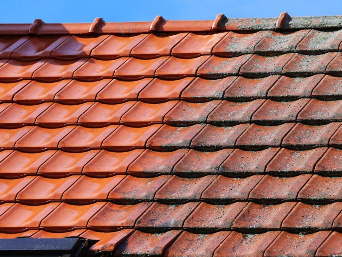 découvrez des astuces et des conseils d'experts pour optimiser la réfection de votre toiture. améliorez la durabilité, l'efficacité énergétique et l'esthétique de votre maison tout en respectant votre budget.