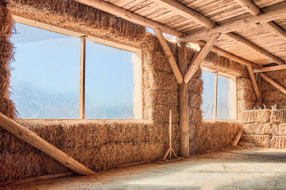 découvrez tout sur la paille, un matériau écologique et polyvalent utilisé dans l'agriculture, l'artisanat et la décoration. apprenez ses bienfaits, ses applications et comment l'intégrer dans votre quotidien pour un mode de vie plus durable.