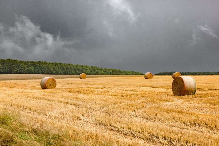 découvrez tout ce qu'il faut savoir sur les paillettes écologiques : types, avantages et idées d'utilisation pour un mode de vie durable.