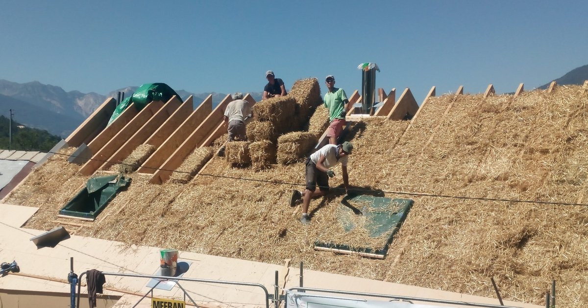 découvrez tout ce qu'il faut savoir sur les toits en paille : avantages, techniques de construction, entretien et inspirations pour intégrer ce matériau naturel dans vos projets architecturaux. optez pour une solution écologique et esthétique !