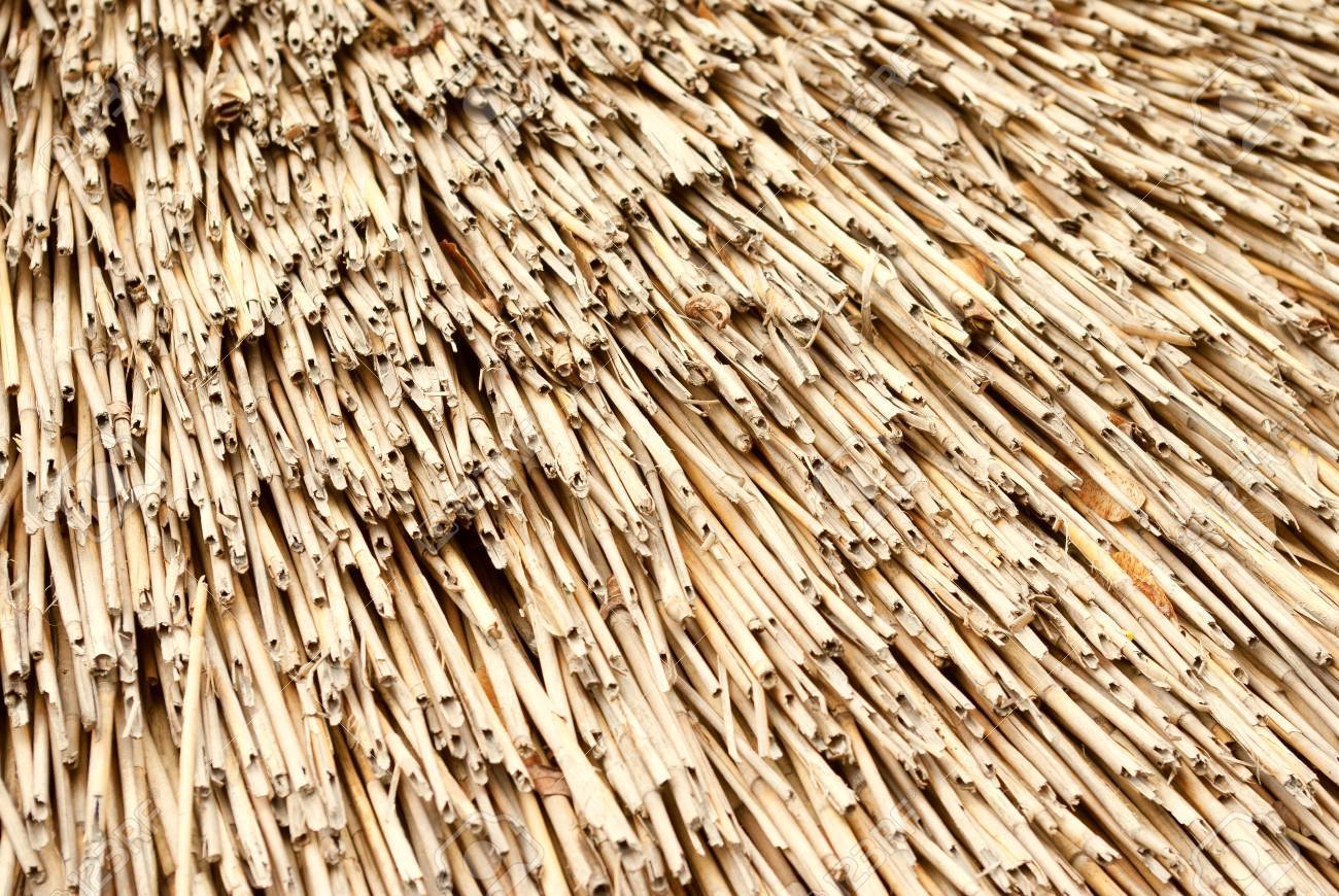 découvrez tout sur les paille toit, une solution de couverture écologique et durable. apprenez-en davantage sur ses avantages, son installation et son entretien pour profiter d'une toiture naturelle et performante.