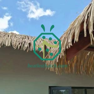 découvrez notre panneau en toit de palme, une solution écologique et esthétique pour vos aménagements extérieurs. idéal pour créer une ambiance tropicale, il allie durabilité et charme naturel.