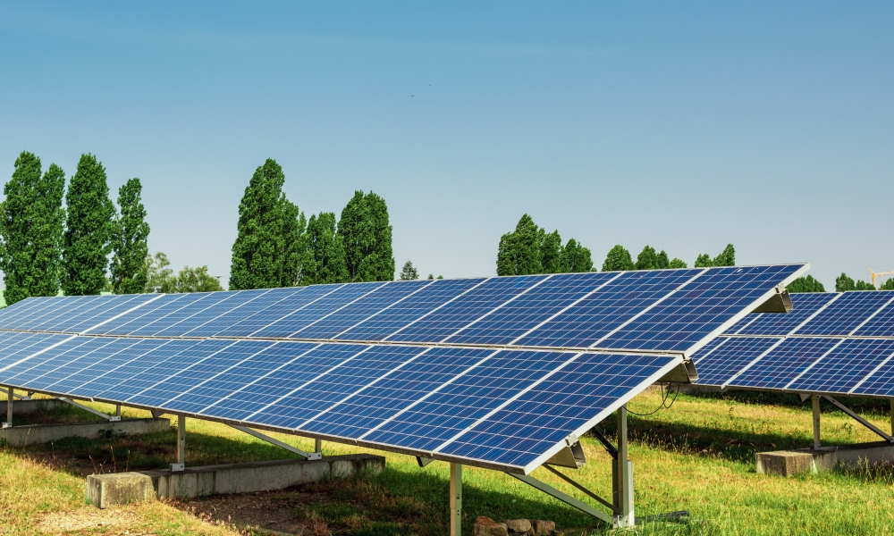 découvrez comment les panneaux photovoltaïques peuvent devenir une source de revenus rentable tout en contribuant à préserver l'environnement. apprenez les avantages fiscaux, les économies d'énergie et les options de financement pour maximiser votre investissement solaire.