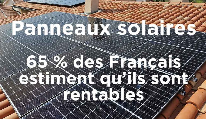 découvrez comment les panneaux photovoltaïques peuvent devenir une source de revenus grâce à leur rentabilité. explorez les avantages financiers et environnementaux de l'installation de panneaux solaires sur votre propriété.