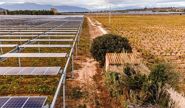 découvrez comment les panneaux solaires agricoles peuvent transformer votre exploitation en une source d'énergie durable et économique. optimisez vos ressources tout en contribuant à la protection de l'environnement grâce à des solutions énergétiques innovantes adaptées au secteur agricole.