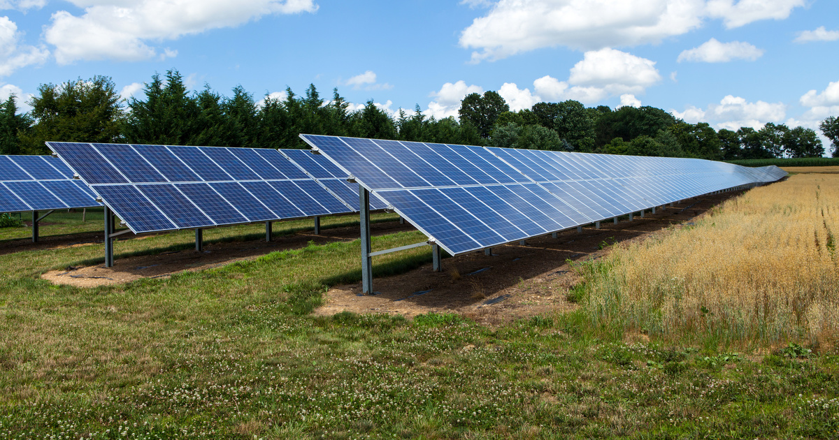 découvrez notre guide complet sur les panneaux solaires pour les champs. apprenez comment ces systèmes de production d'énergie renouvelable peuvent optimiser l'utilisation de vos terres agricoles, réduire vos factures d'énergie et contribuer à la durabilité environnementale.