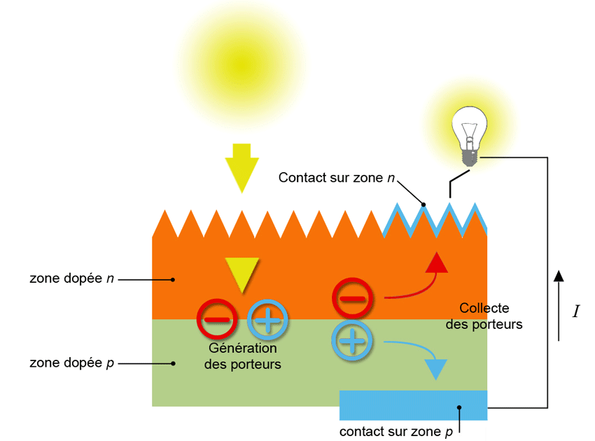découvrez ce que sont les panneaux solaires, leur définition et leur fonctionnement. apprenez comment cette technologie durable transforme la lumière du soleil en énergie électrique, contribuant à un avenir plus vert et à des économies d'énergie.