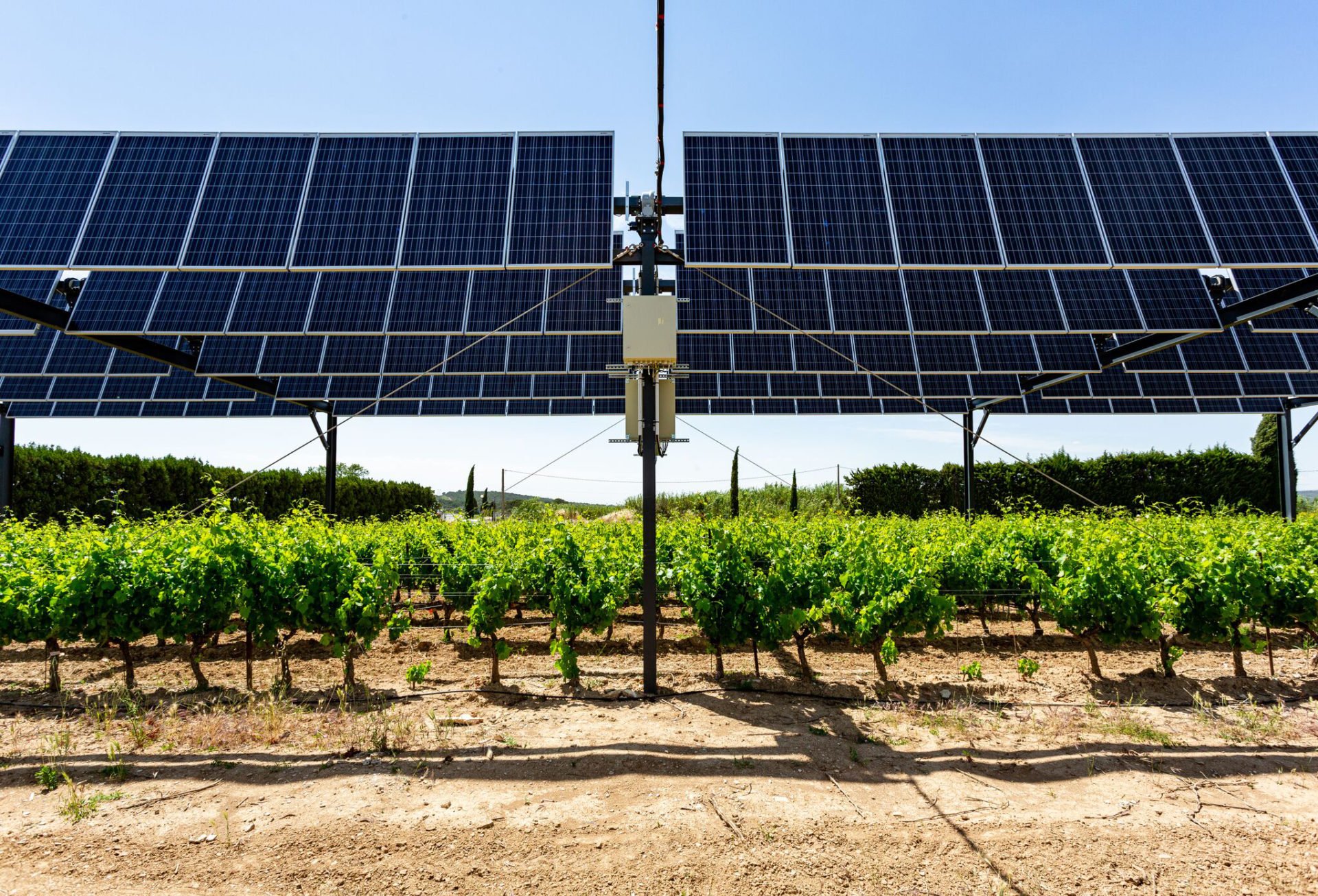 découvrez comment les panneaux solaires révolutionnent l'agriculture en optimisant la consommation d'énergie, réduisant les coûts et favorisant la durabilité. explorez les avantages de l'intégration des panneaux photovoltaïques dans les exploitations agricoles pour un avenir plus vert.