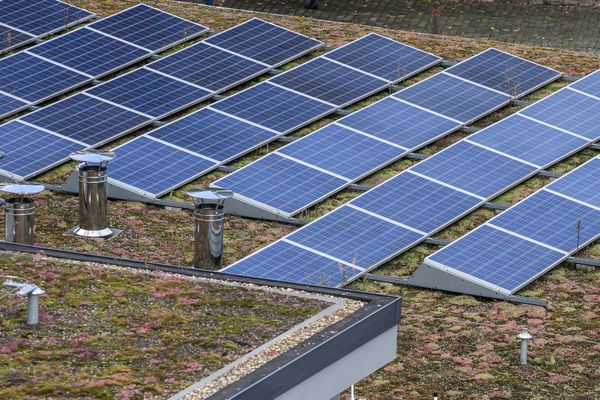 découvrez comment les panneaux solaires pour entreprises peuvent réduire vos coûts énergétiques tout en contribuant au développement durable. optimisez votre empreinte carbone et valorisez votre image de marque grâce à une énergie propre et renouvelable.