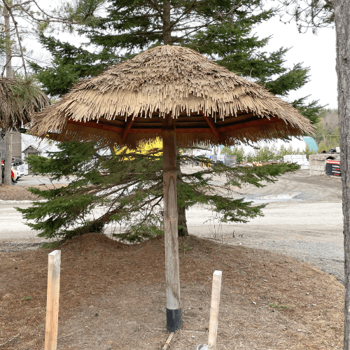 découvrez notre parasol en chaume, l'accessoire idéal pour apporter une touche tropicale à votre jardin ou terrasse. alliez esthétique naturelle et protection optimale contre le soleil tout en créant une ambiance relaxante pour vos moments en plein air.