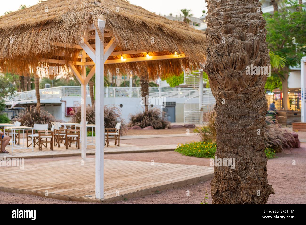 découvrez notre parasol en chaume, idéal pour apporter une touche d’exotisme à votre jardin ou terrasse. ce parasol allie style et fonctionnalité, vous permettant de profiter de l'ombre tout en embellissant votre espace extérieur. résistant aux intempéries, il est parfait pour vos journées ensoleillées.