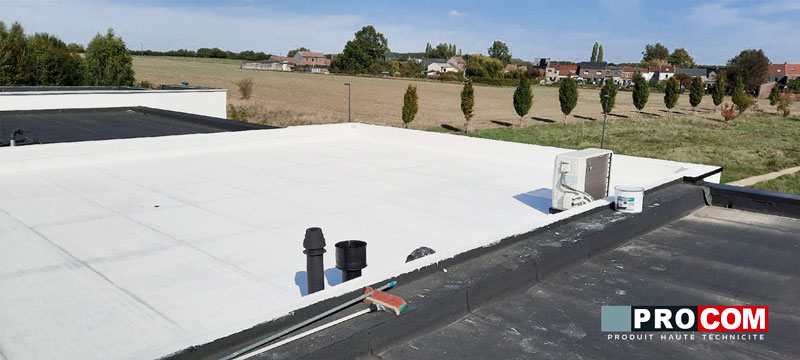 découvrez comment peindre efficacement votre toit pour prolonger sa durée de vie et améliorer l'esthétique de votre maison. suivez nos conseils pratiques et astuces pour bien choisir la peinture, les outils nécessaires et les techniques à adopter.