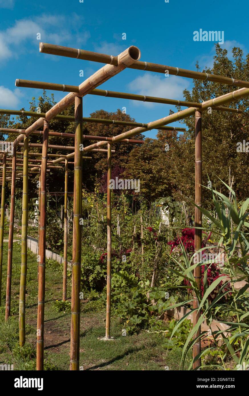 découvrez notre pergola en bambou, alliant esthétisme et durabilité. parfaite pour aménager votre jardin ou terrasse, elle offre une ombre agréable tout en respectant l'environnement. transformez votre espace extérieur avec cette solution élégante et naturelle.