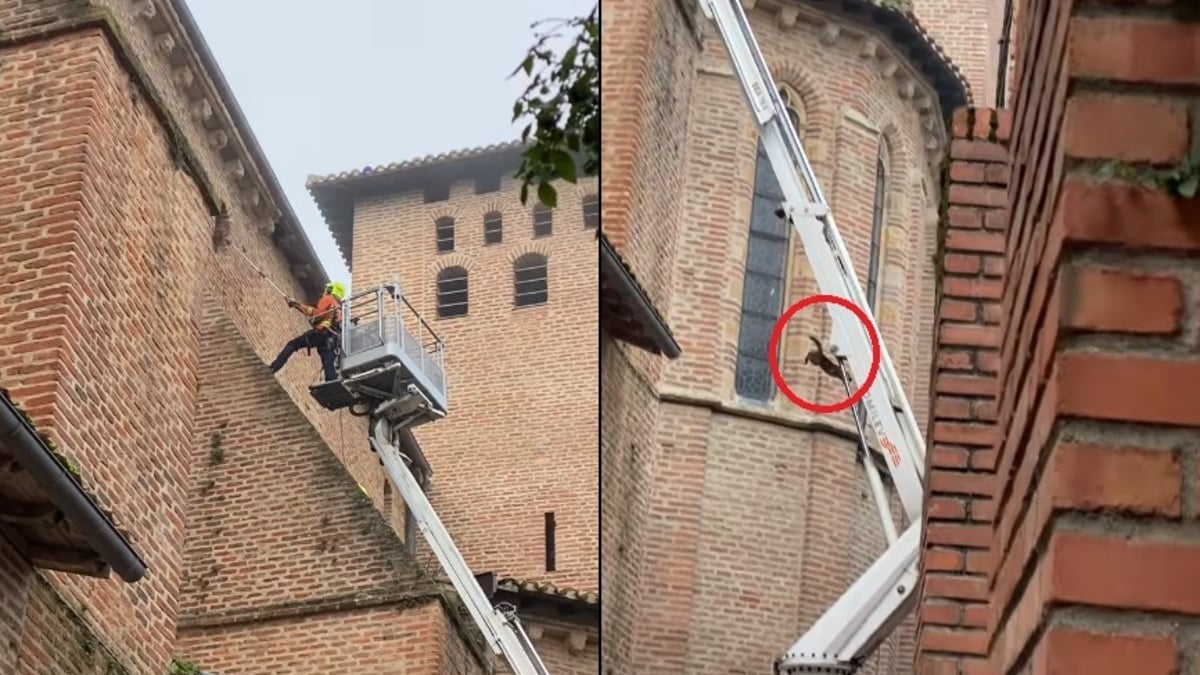 découvrez le concept innovant de toit-saut, une astuce pratique pour optimiser l'espace de votre maison tout en ajoutant une touche esthétique. avec des conseils et des idées inspirantes, transformez votre toit en un espace fonctionnel et élégant.