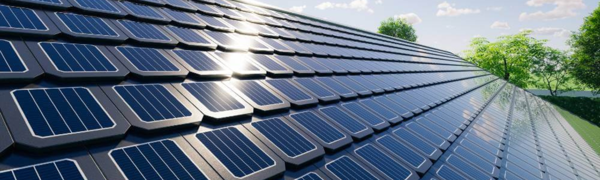 découvrez les tendances et innovations du photovoltaïque en 2025, une année clé pour l'énergie solaire. explorez comment cette technologie révolutionnaire peut transformer notre avenir énergétique et contribuer à une planète plus verte.