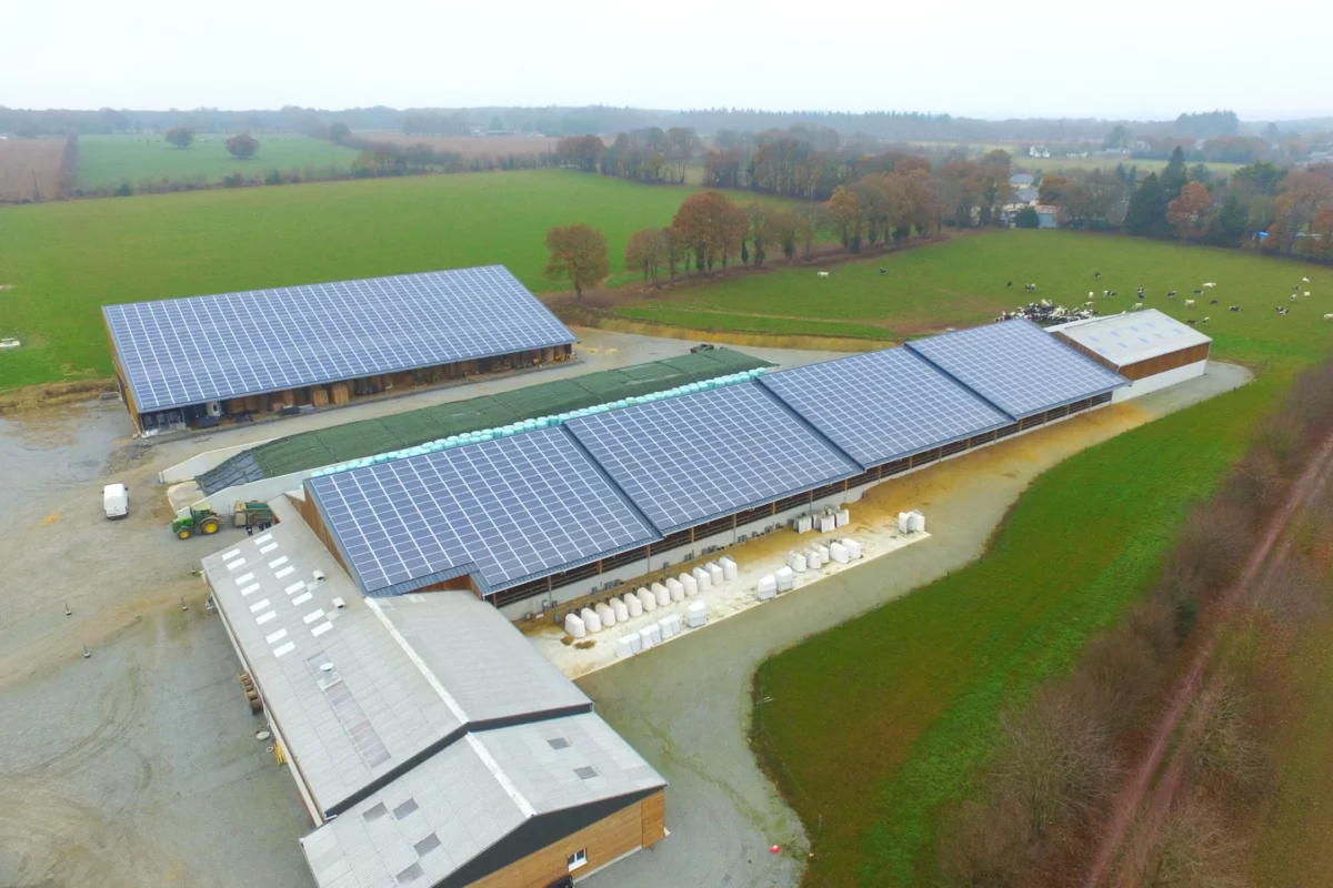 découvrez comment le photovoltaïque agricole peut transformer vos exploitations en source de revenus rentable. optimisez votre production tout en contribuant à une agriculture durable grâce à des solutions solaires adaptées.