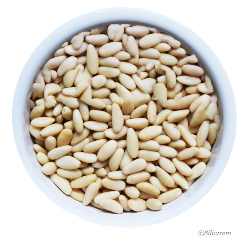 découvrez tout sur le pignon, un élément essentiel en mécanique et construction. apprenez son rôle, ses types et applicabilité. idéal pour les passionnés de bricolage et les professionnels.