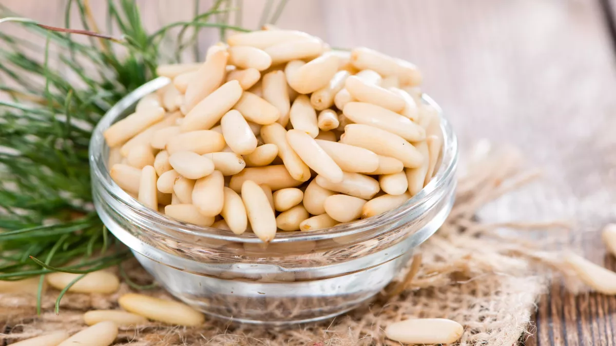 découvrez tout sur le pignon, cet élément essentiel en mécanique et ingénierie. apprenez comment il fonctionne, ses types variés et ses applications pratiques dans divers domaines. que vous soyez professionnel ou passionné, trouvez ici des informations clés sur cet engrenage incontournable.