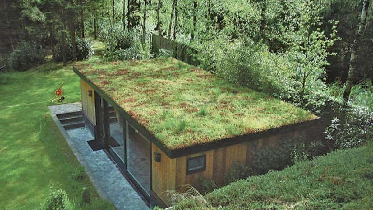 découvrez les bienfaits des plantes pour votre toit végétal : améliorez l'isolation, créez un habitat pour la biodiversité et embellissez votre environnement. transformez votre espace urbain en oasis verte!