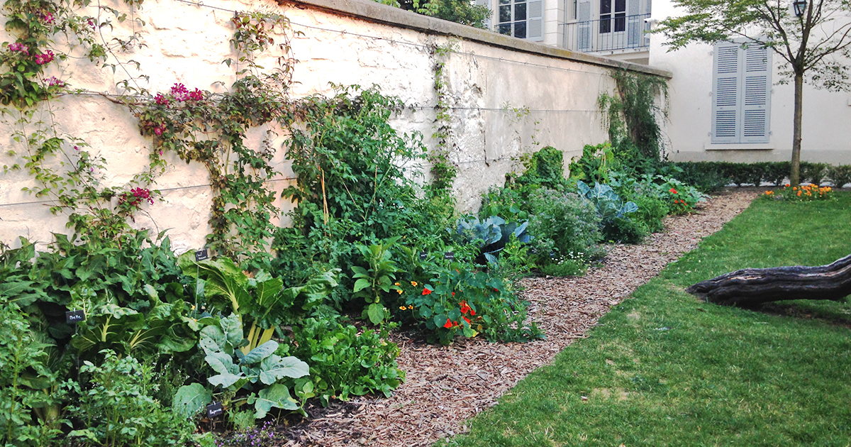 découvrez l'univers des potagers parisiens : astuces, conseils et inspirations pour cultiver vos propres légumes et herbes en pleine ville. transformez votre balcon ou jardin en un véritable espace de verdure au cœur de paris.