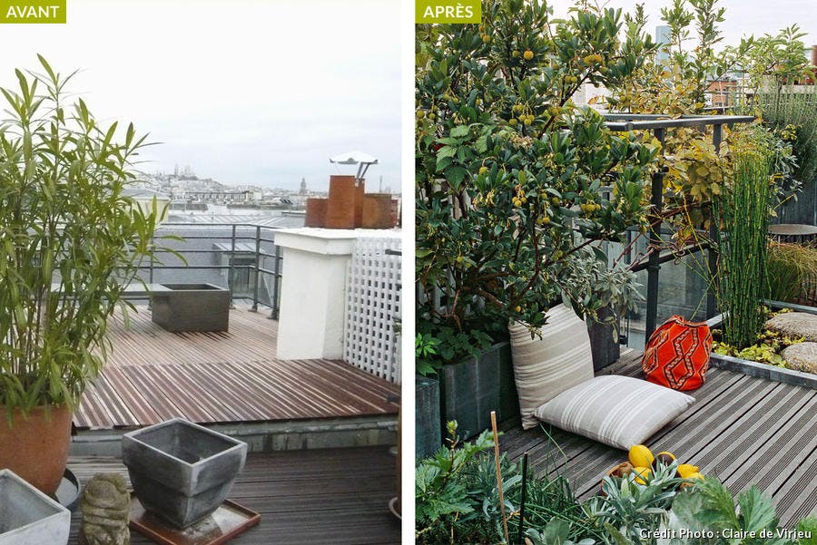 découvrez le potager rooftop, un espace vert innovant en hauteur qui révolutionne l'agriculture urbaine. cultivez vos propres légumes et herbes aromatiques tout en profitant d'une vue imprenable sur la ville. idéal pour les citadins soucieux de leur alimentation et de l'environnement.