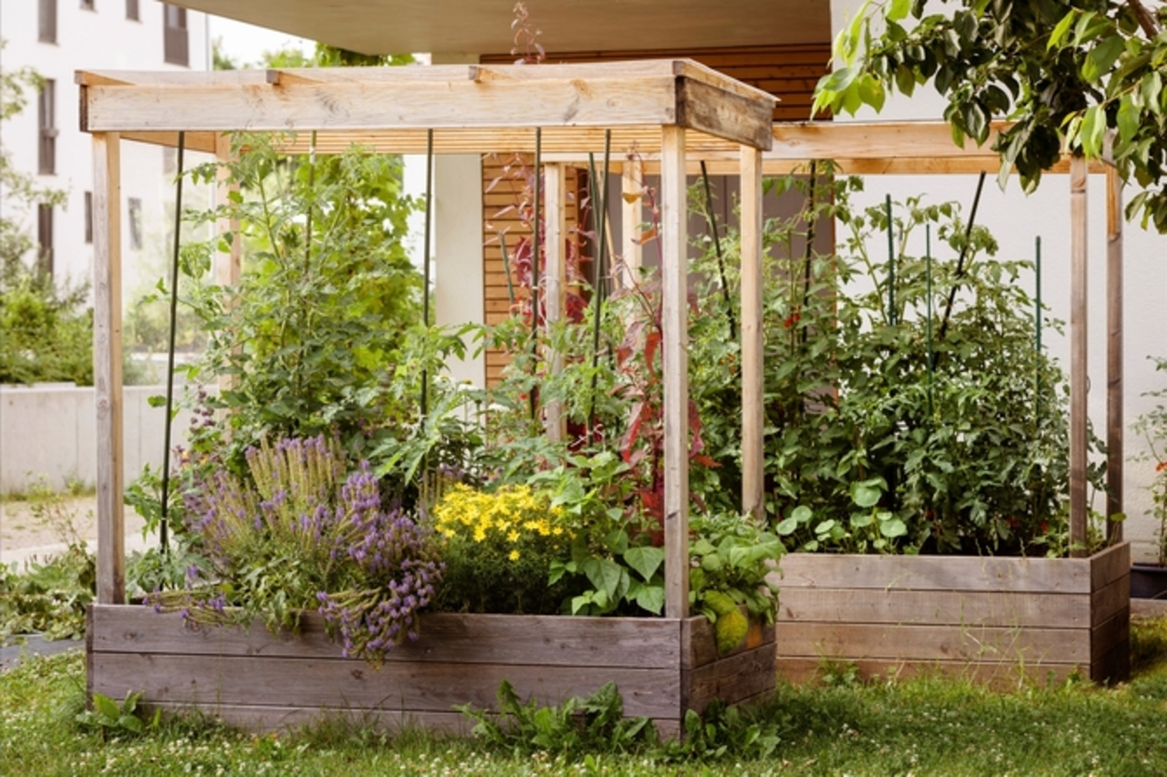 découvrez comment créer un potager sur toit et cultivez vos propres légumes en plein cœur de la ville. transformez votre espace extérieur en un oasis de verdure et de durabilité, tout en profitant d'une récolte fraîche et bio. idéal pour les citadins souhaitant se reconnecter avec la nature.
