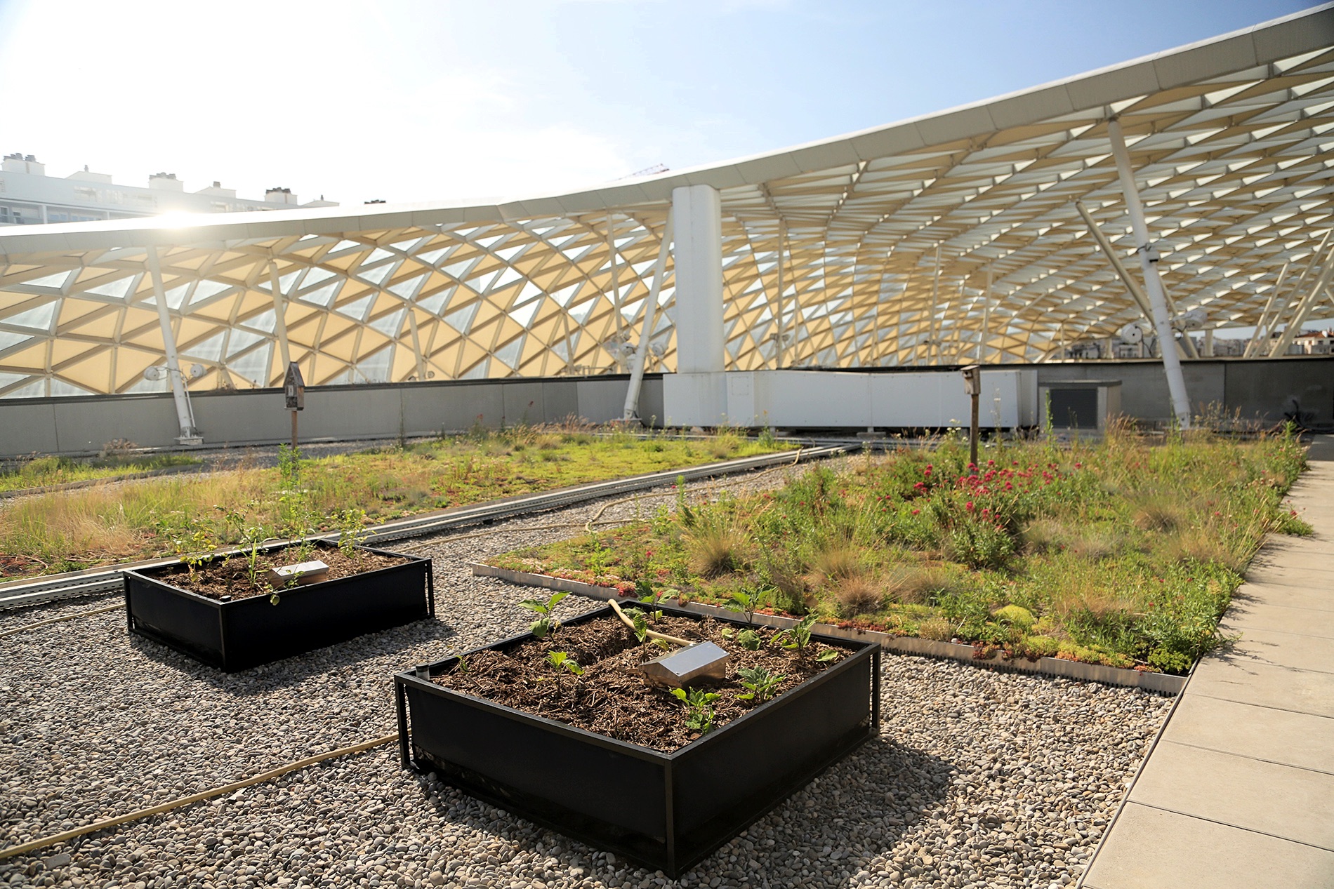 découvrez comment créer un potager sur toit, un espace vert innovant et écologique qui optimise votre espace urbain tout en vous permettant de cultiver vos propres légumes et herbes fraîches.