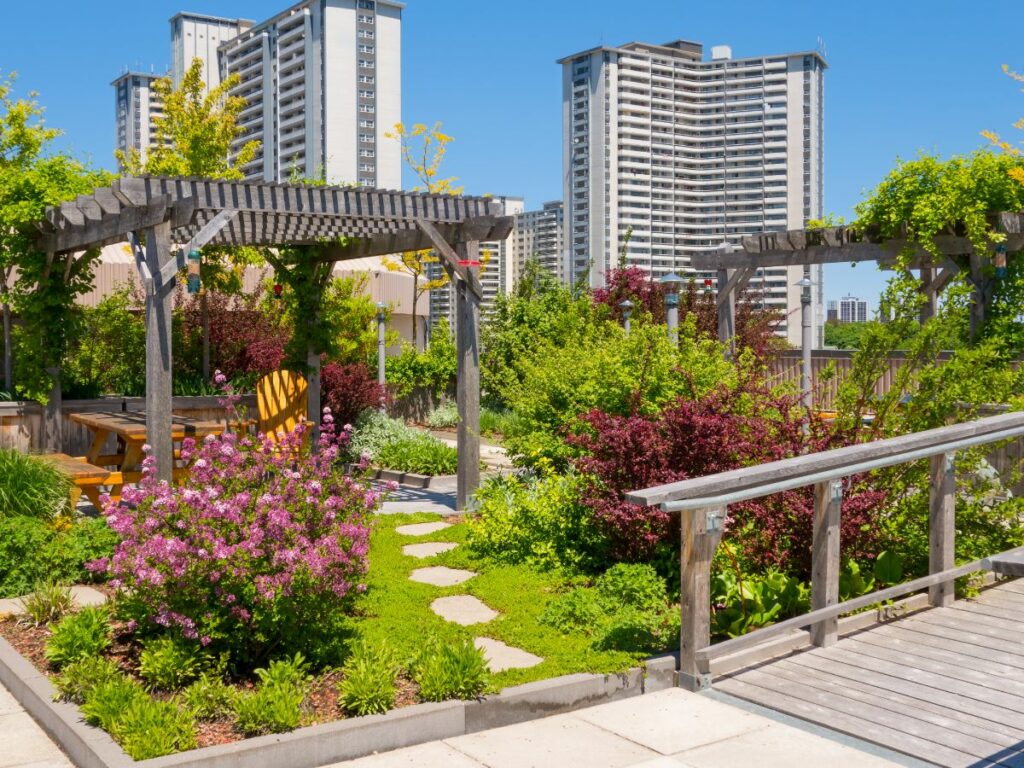 découvrez comment transformer votre toit en un potager luxuriant et productif. apprenez des astuces pour cultiver des légumes et des herbes en milieu urbain tout en profitant d'une vue imprenable. idéal pour les amoureux de la nature et les citadins souhaitant jardiner, même dans un espace réduit.