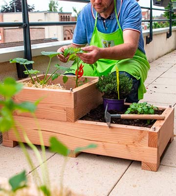 découvrez comment créer un potager sur votre terrasse grâce à nos conseils pratiques. apprenez à choisir les meilleures plantes, à optimiser l'espace et à profiter de votre récolte tout en embellissant votre espace extérieur.