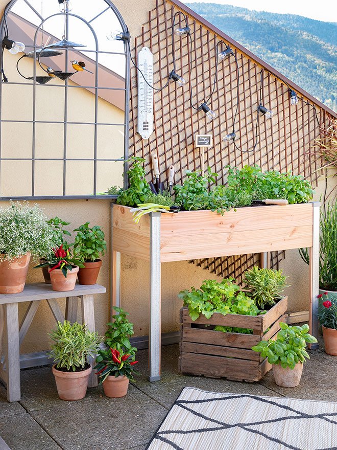 découvrez comment créer un potager sur votre terrasse pour cultiver vos propres légumes et herbes, même dans un espace réduit. profitez de conseils pratiques pour maximiser l'espace et obtenir une récolte abondante tout au long de l'année.
