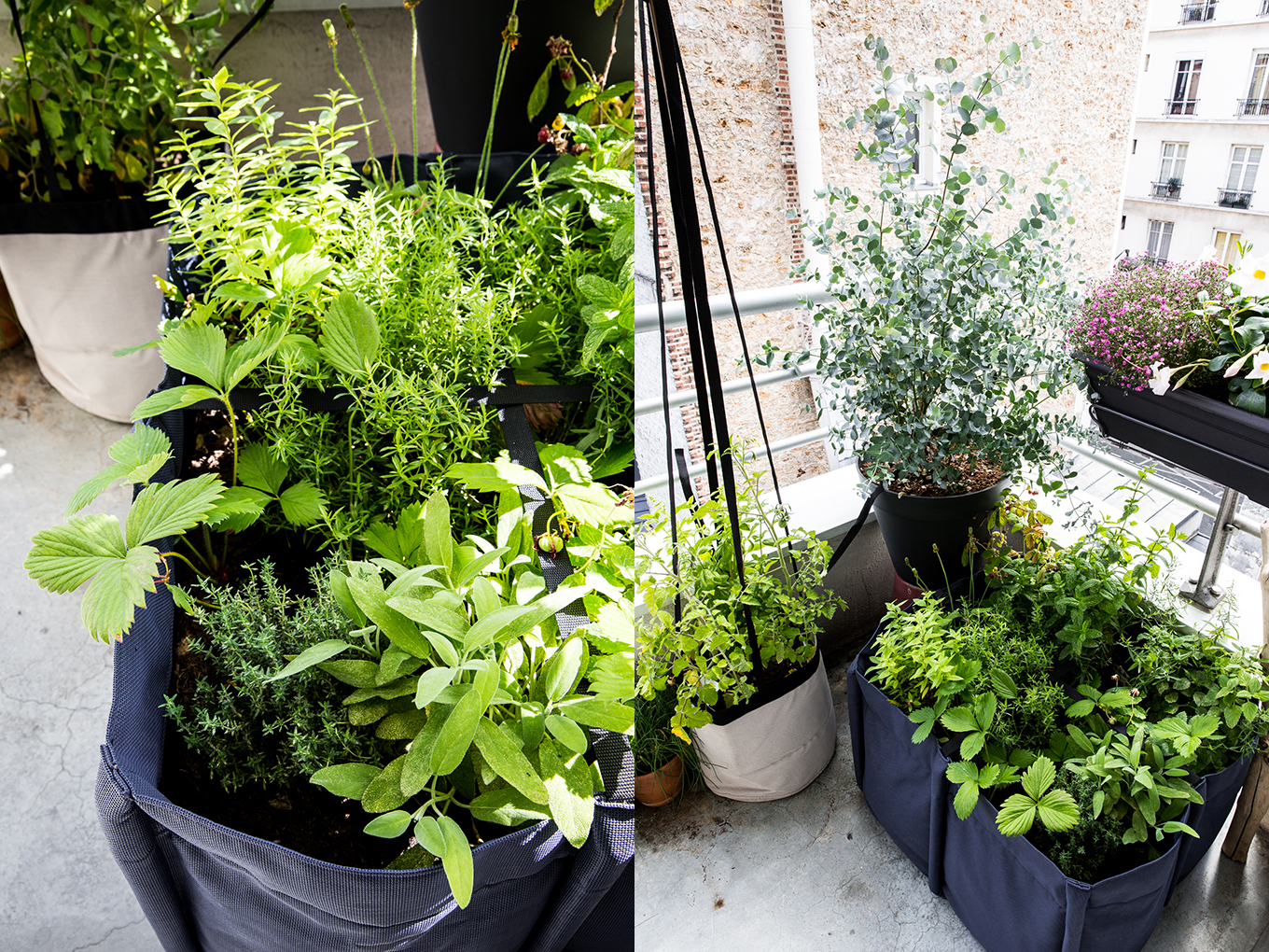 découvrez comment aménager un potager sur votre terrasse ! profitez de vos espaces extérieurs tout en cultivant des légumes et des herbes aromatiques, même dans les petits espaces. transformez votre terrasse en un véritable jardin productif.